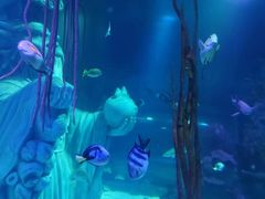 -沈阳海洋探索中心