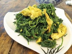 -沙洲胡杨焖饼