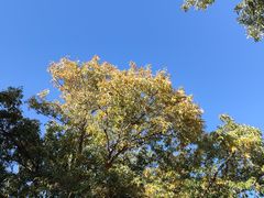 -北京西山国家森林公园