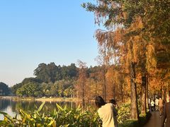 -南国桃园旅游度假区