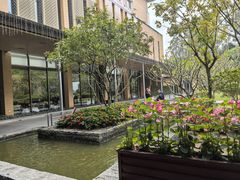 -南宁荔园维景国际酒店·荔园中餐厅
