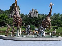 -北京野生动物园