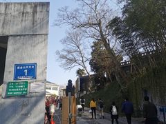 -紫金山山顶公园