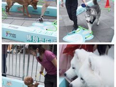 -IPARK购物中心