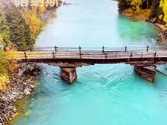 -老街冷水鱼烧烤(河堤夜市店)