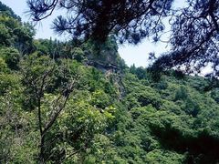 android_upload_pic-武当山风景区