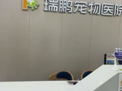 -瑞鹏宠物医院·骨外科·心肾科·肿瘤科(九亭店)