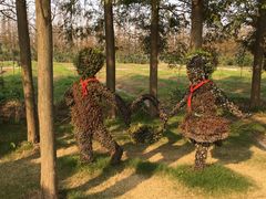 -上海长兴岛郊野公园