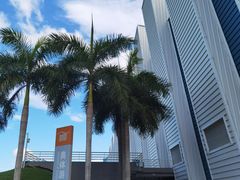 -奥林匹克体育中心游泳馆