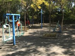 游乐设施-杨柳青庄园