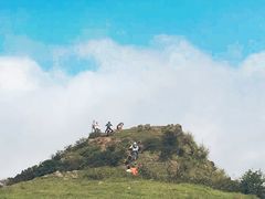 -大姆山草场