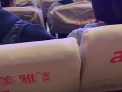 -南风大剧院莎梦二人转剧场