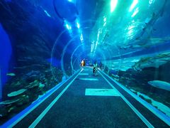 -成都浩海立方海洋公园