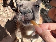 -泉州海丝野生动物世界