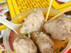 -无影脚佛山陈氏盲公丸始创店(飞鸿街店)