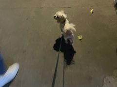 -荔康动物医院(康王北路店)