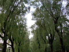 -哈尔滨文化公园