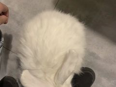 -有何Book(六堰体育馆店)