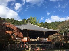 -醍醐寺