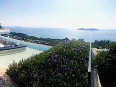 -瑰丽酒店·海吧·天际下午茶·现场DJ·天台酒吧