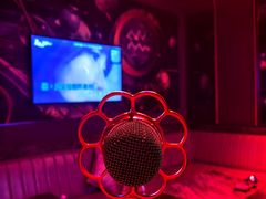 -Z+KTV自由港PLUS(仲盛店)