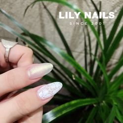 -LILY NAILS美甲美睫