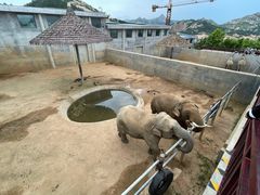 -西霞口神雕山野生动物世界