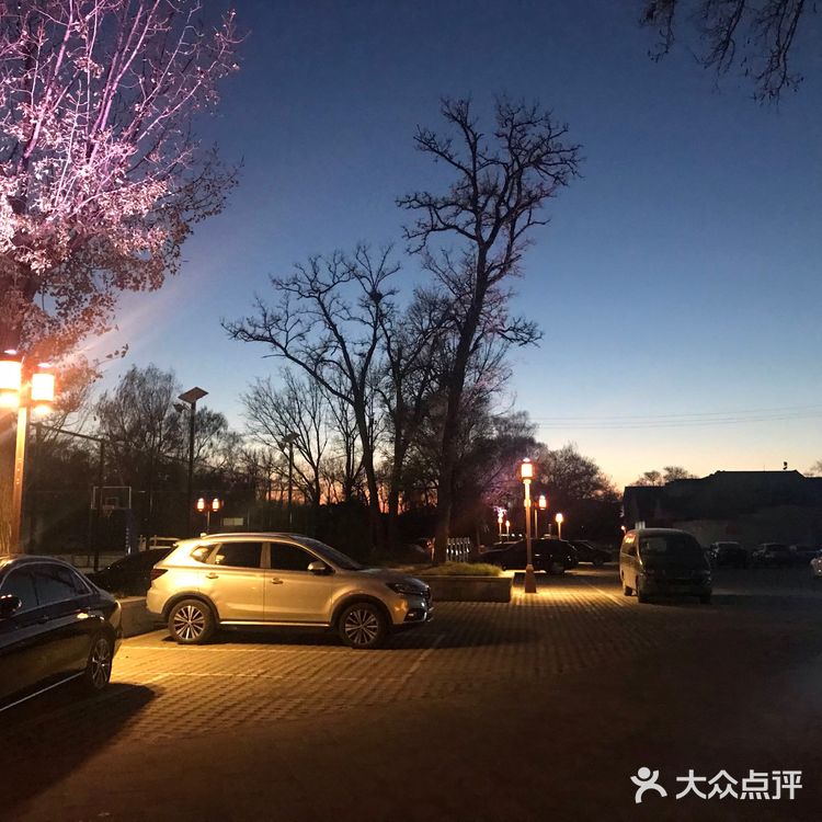 马首回归，圆梦圆明