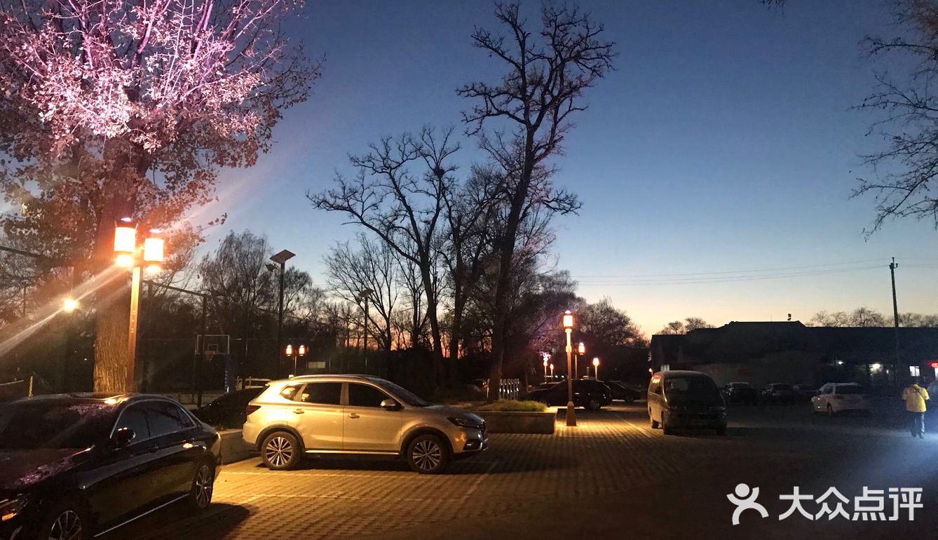 马首回归，圆梦圆明