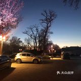 马首回归，圆梦圆明