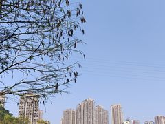 -重庆彩云湖湿地公园