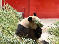 -杭州野生动物世界