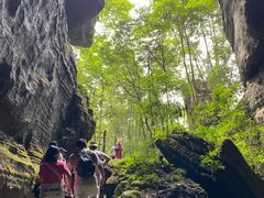 -梭布垭石林景区