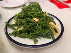 巧拌丝瓜尖-嘉陵楼馋嘴城(簋街总店)