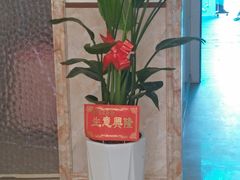 -陈家镇裕安农贸市场