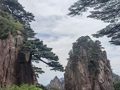 -黄山白云宾馆