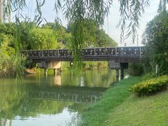 -南翔镇银翔湖公园