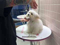 -FAELING PETS美天灵宠物(富力广场店)
