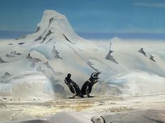 -上海海洋水族馆