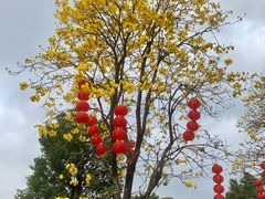 -洲头咀公园