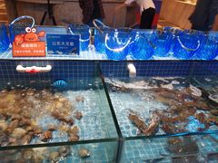 -小天鹅戴斯酒店鲸鲨百汇创作料理