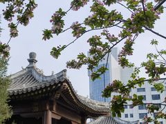 -海棠花溪(元大都城垣遗址公园)