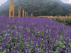 -广州市石门国家森林公园