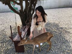 -鹿境梅花鹿生态园区