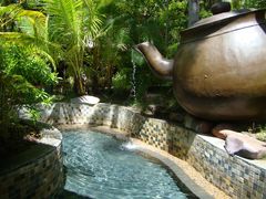 -三亚珠江南田温泉度假区