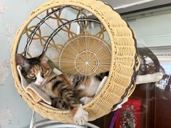 -新荟城(望京店)