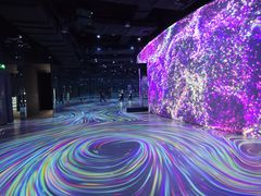 -安徽广播电视台