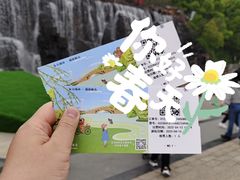 -东方绿舟景区