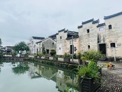 -东梓关景区村庄