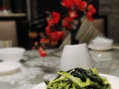 油麦菜-丽华园(青少年宫店)